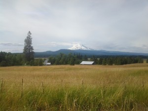 Mt. Adams and the Conboy National Wildlife Refuge