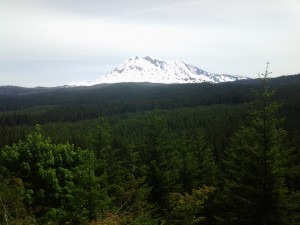 Mt. Adams on the 23 Road climb