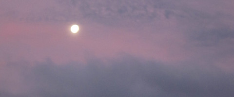 pinkmoon2