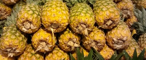 pineapples