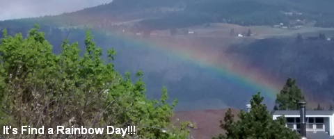 TuesdayRainbow