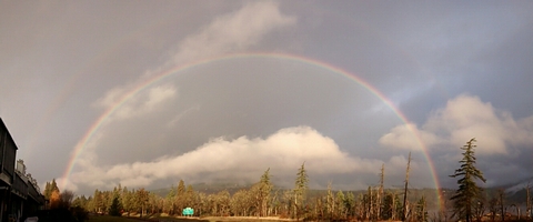 rainbow.today