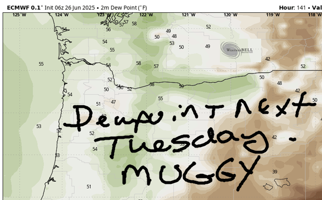 Gorge weather forecast graphical image - humidity next week